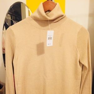 Banana Republic Cashmere Turtleneck